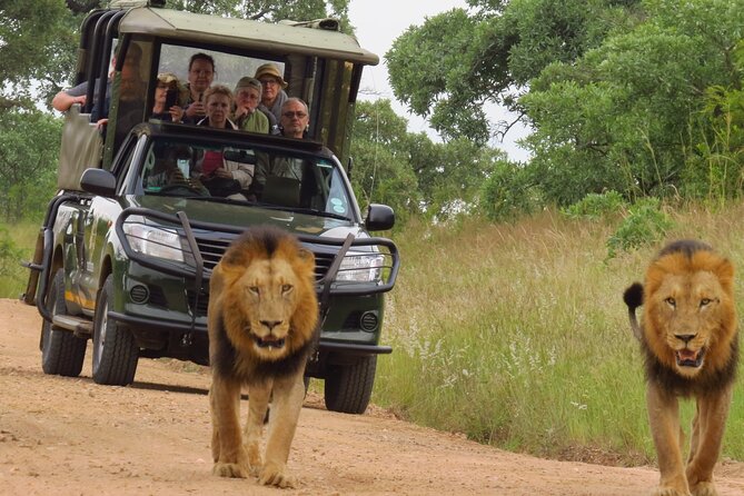 Kruger National Park sunrise Morning Private safari - From Hazyview to the park gates