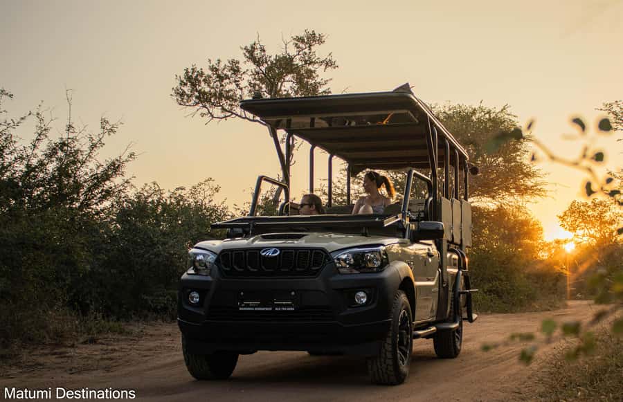Kruger Park Full Day Safari From Hoedspruit - Starting at the Rhino Convention Centre