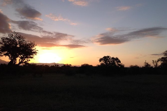 Kruger Park Safari: Guided Day Tour from Nelspruit - The Big Five and the animals beyond them