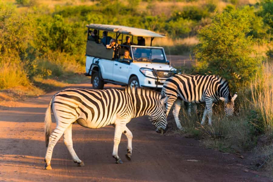 Kruger Park Scheduled Full day Safari Drive from Hoedspruit - The Afternoon Drive Back Toward Orpen