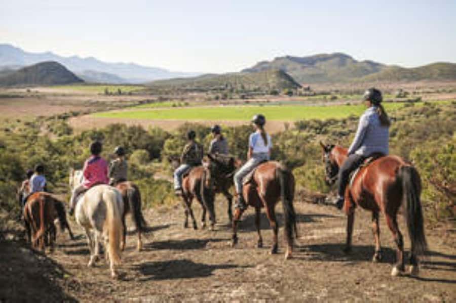 Kudu Trail Horse Riding Experience - Kudu Trail Horse Riding: Key Points