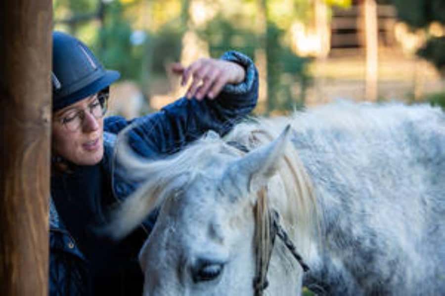 Kudu Trail Horse Riding Experience - Riding Into the Open Klein Karoo