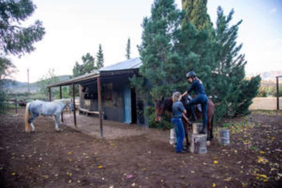 Kudu Trail Horse Riding Experience - Before the Horses Set Off