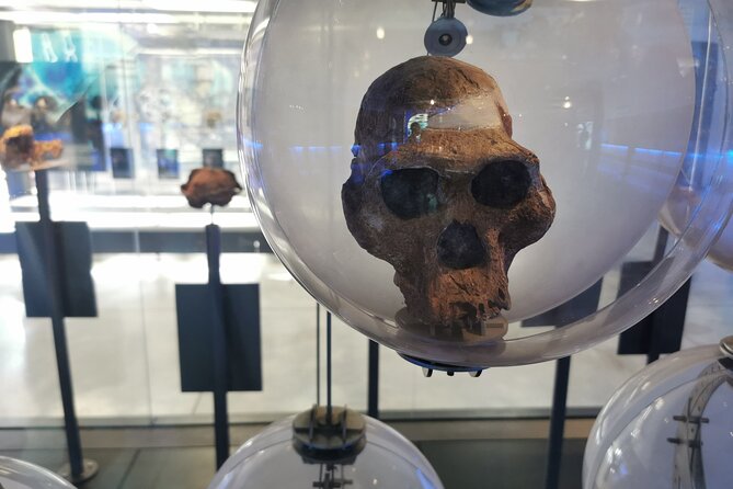 Lesedi Cultural Village and Cradle of Humankind Tour - Maropeng Museum and the fossil story