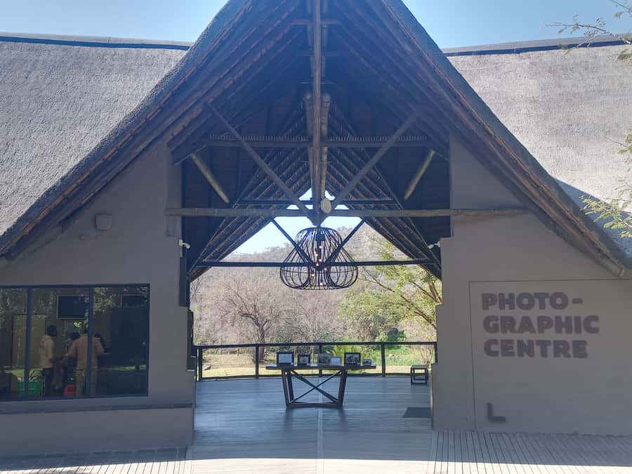 Lion park - A predator-focused day outside Johannesburg