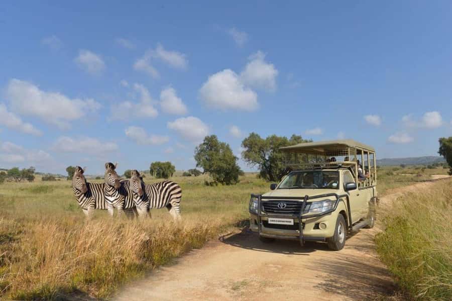 Lion Park Tour in Open Safari Vehicle - Leaving the city for the Lion and Safari Park