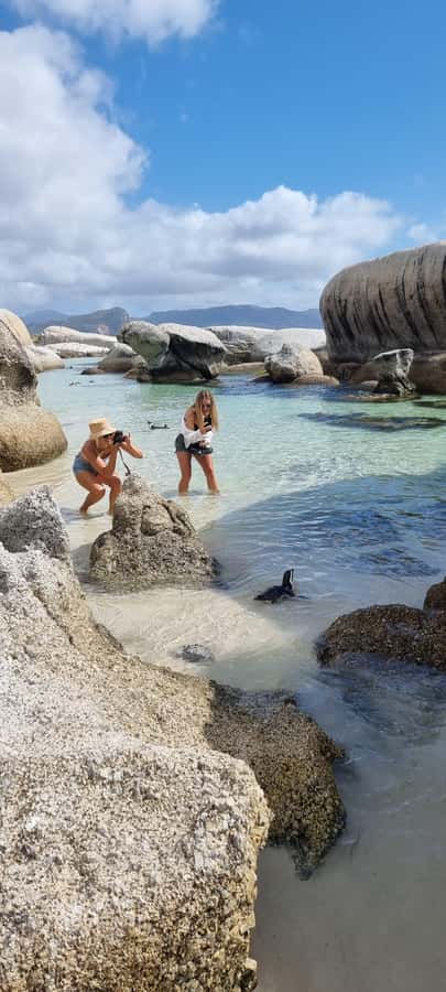 Luxury Cape of Good Hope & Penguin Tour - Why this Cape Peninsula route works