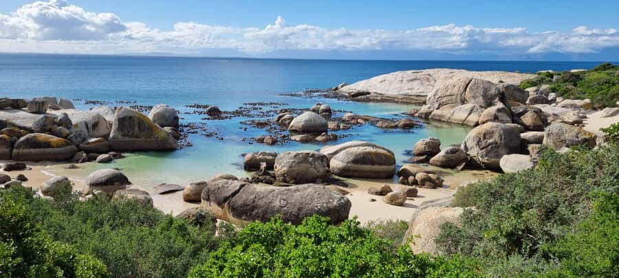 Luxury Cape of Good Hope & Penguin Tour - Simon’s Town gives you a proper break