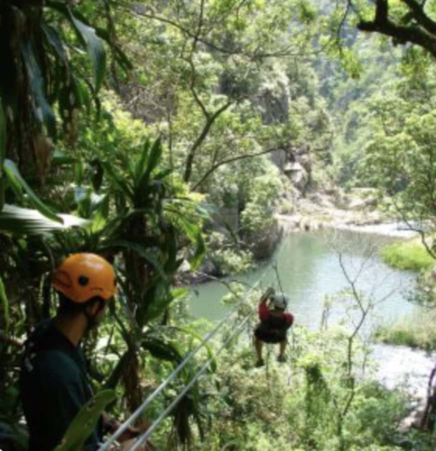 Magoebaskloof Adventures: 2H Canopy Tour - The forest canopy is the main attraction
