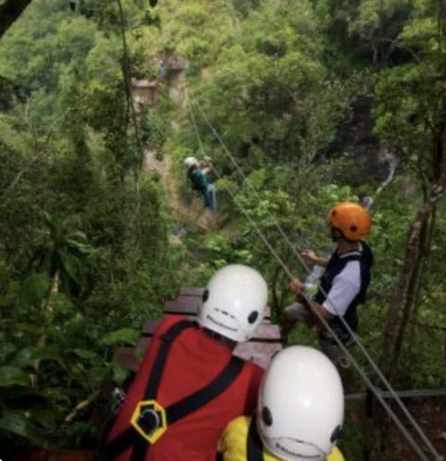 Magoebaskloof Adventures: 2H Canopy Tour - The suspension bridge and quieter platforms