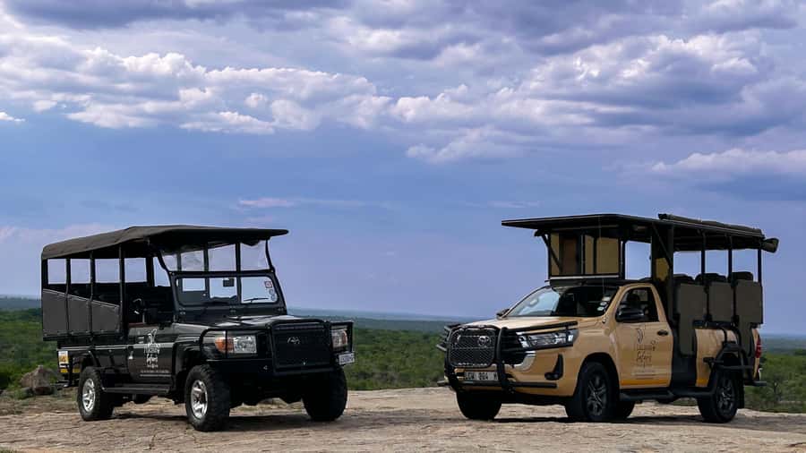 Malelane & Komatipoort: Kruger National Park Half-Day Safari - Key points to know before you book