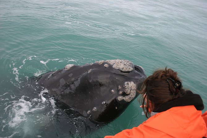 Marine Big 5 Safari: Self-Drive - What this Marine Big 5 boat trip actually includes