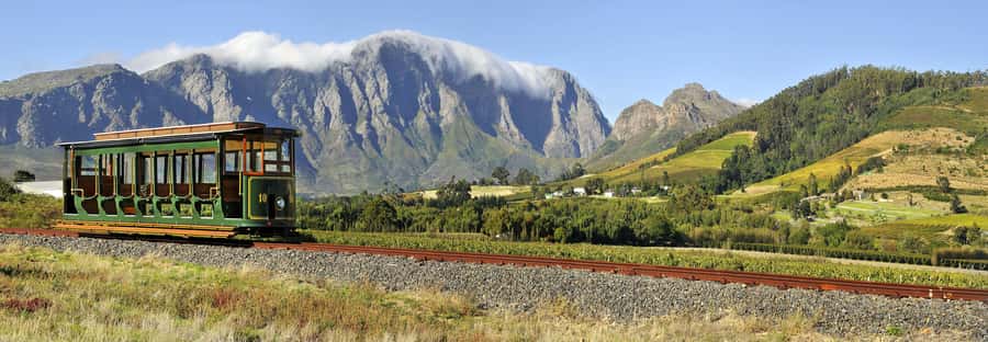 Marine Eco Cruise and Half-Day Wine Route with Tastings - Wine, cheese, and the cellar visit