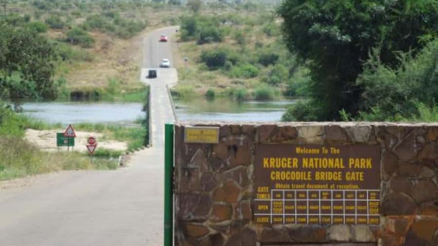 Marloth Park: Bush Braai Dinner & Game Drive in Kruger Park - Key points to know before you book