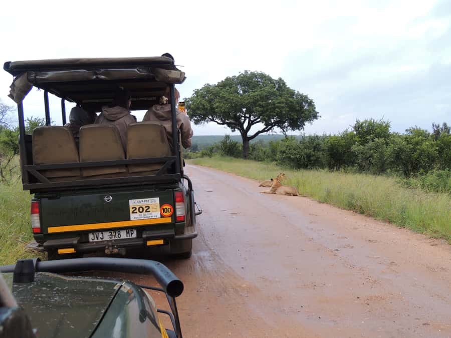 Marloth Park: Kruger National Park Safari Game Drives - The 440 ZAR entrance fee and overall value