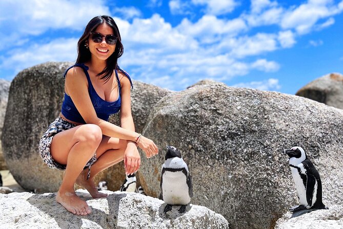 MUST DO: Boulders Beach & Cape Point Full Day Tour #1 Rated - Hout Bay and the optional seal cruise