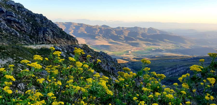 Oudtshoorn: Half-Day Swartberg Pass Private Guided Tour - The climb from Oudtshoorn to the mountain crest