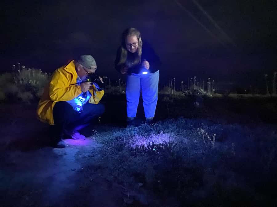 Oudtshoorn: Night Time Nature Walk - What happens during the 90-minute walk