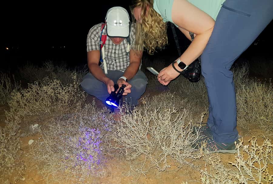 Oudtshoorn: Night Time Nature Walk - Who will enjoy this experience most