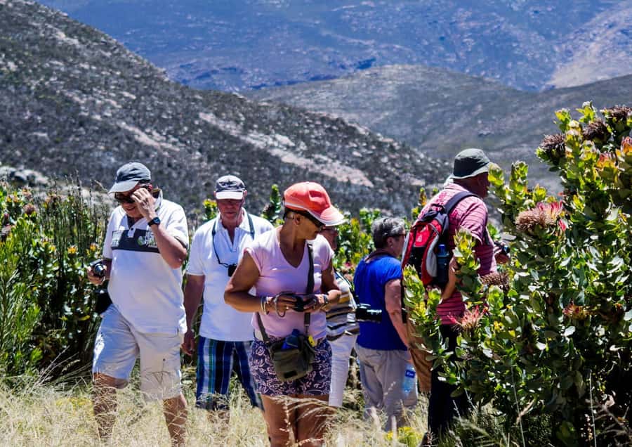 Oudtshoorn: Swartberg Mountain Pass Tour with Country Lunch - Stops with views over the Little and Great Karoo