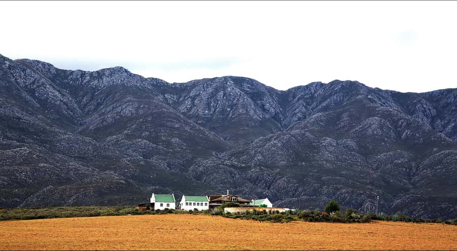 Oudtshoorn: Swartberg Mountain Pass Tour with Country Lunch - The guided drive and its practical tradeoffs