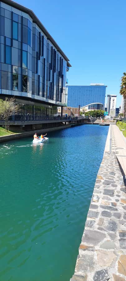 Pedal Boat Ride V&A Waterfront - Cape Town - Key points to know before you book