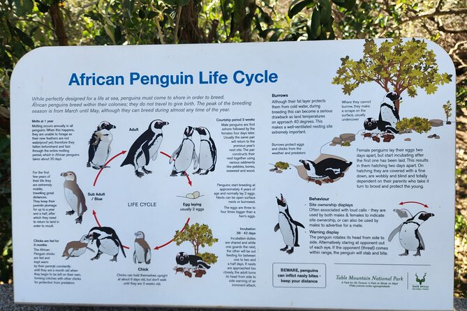 Penguin Encounter Boulders Beach Half Tour Day from Cape Town - Boyes Drive brings the return journey through Muizenberg