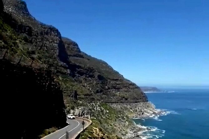 Penguins Cape of Good Hope, Cape Point Private Tour - Camps Bay, Clifton, and the final Bo-Kaap stop