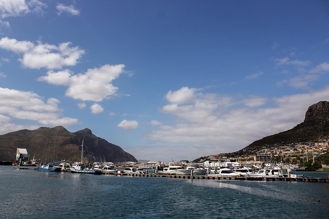 Peninsula Tour Cape Town - Hout Bay starts the day with boats, fish, and crafts