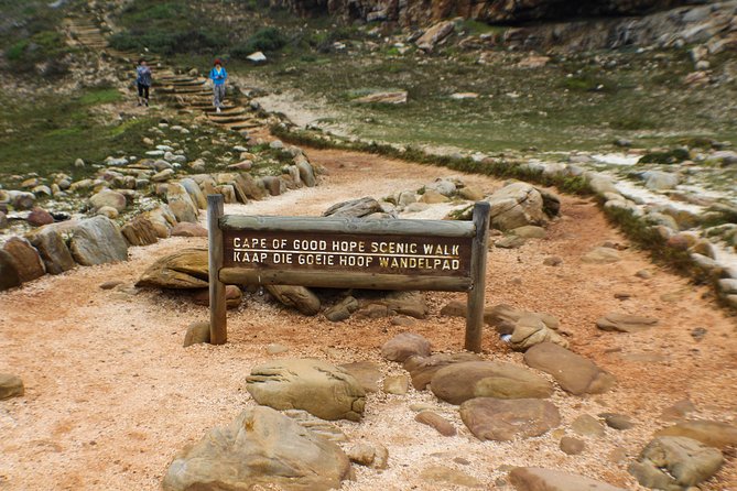 Peninsula Tour Cape Town - Boulders Beach is the day’s main wildlife stop