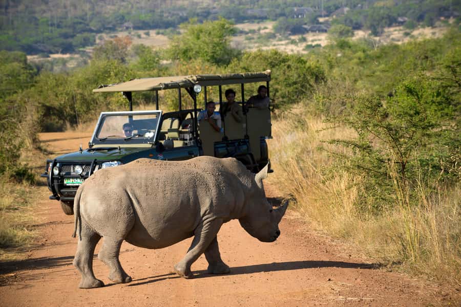 Pilanesberg: 2 Day 3-Star Pilanesberg Safari - Dinner and the overnight stay