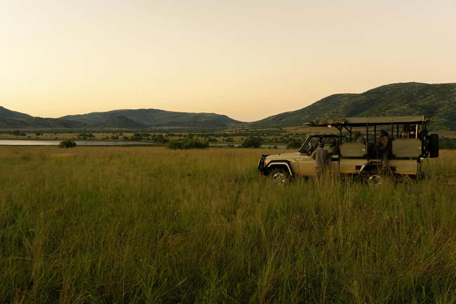 Pilanesberg: Full-Day Safari Adventure from Johannesburg - Key points to know before booking