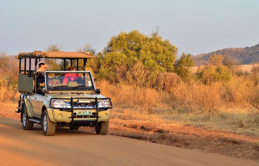 Pilanesberg Full-Day Shared Safari with Sun City Visit - The 6:00 AM departure from Johannesburg