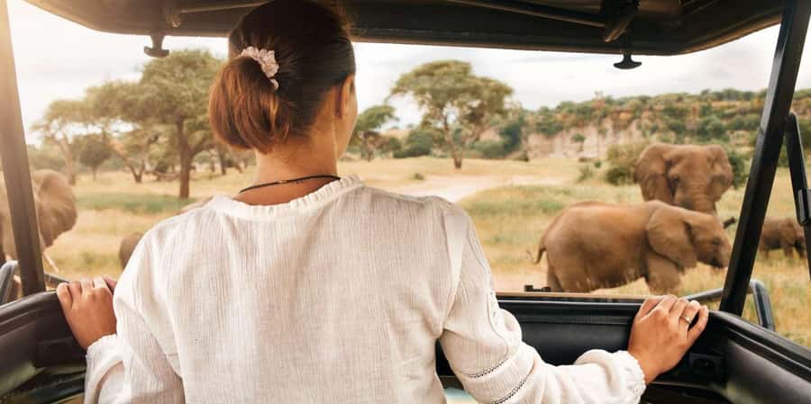 Pilanesberg Morning or Afternoon 3 Hour Game Drive - Starting at Manyane Gate or Sun City