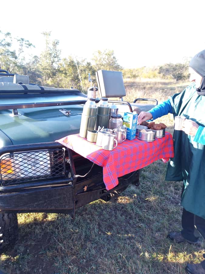 Pilanesberg National Park - Searching for the Big Five