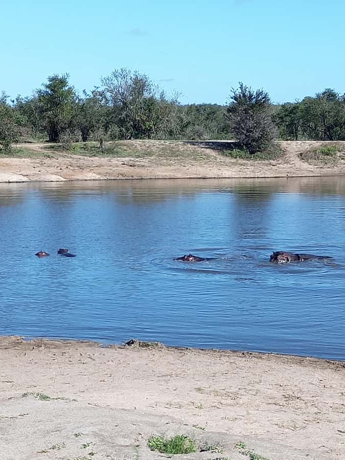 Pilanesberg National Park - Lunch, rest, and the cost of lost safari time