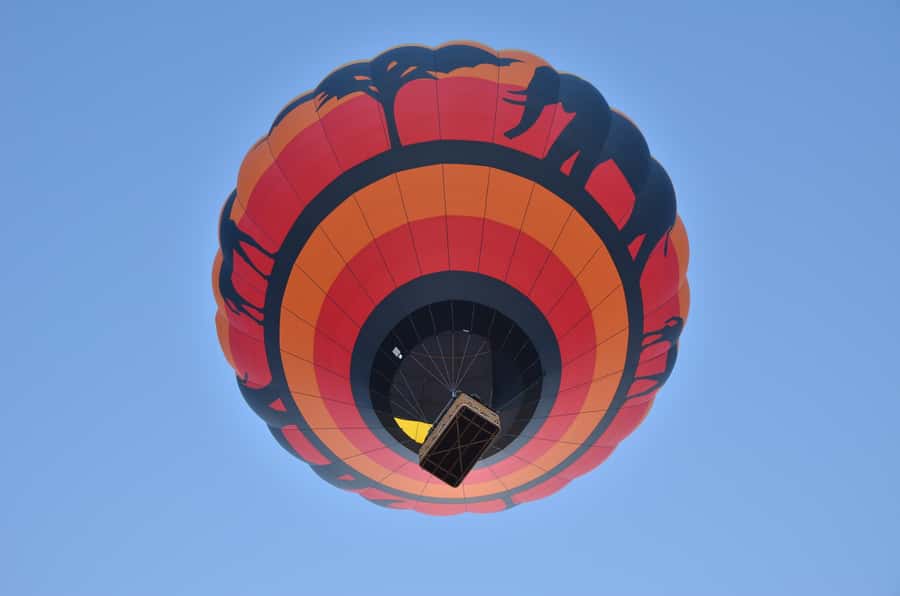 Pilanesberg National Park/Sun City Hot Air Balloon Safari - Preparing for takeoff in the central park