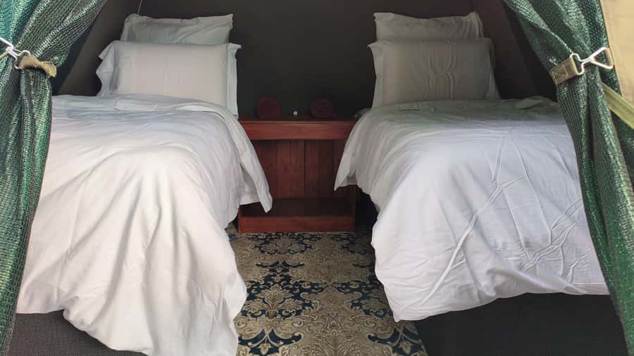 Pilanesberg: Two-Day Camping Adventure from Johannesburg - Why Pilanesberg works for a short Johannesburg safari