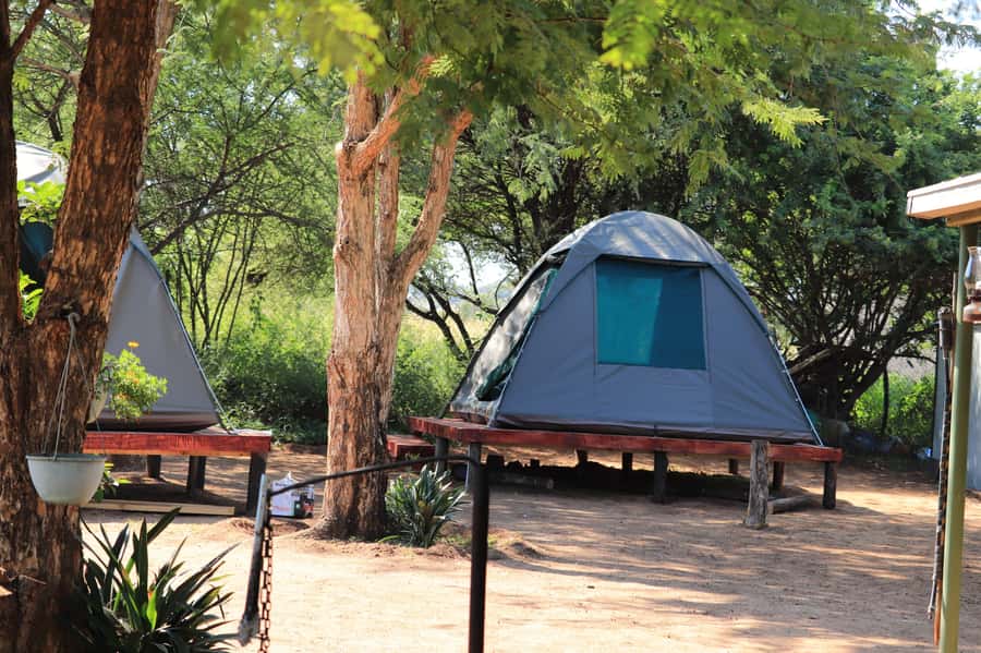 Pilanesberg: Two-Day Camping Adventure from Johannesburg - Camping near the gate at Tlou Tented Safari Camp