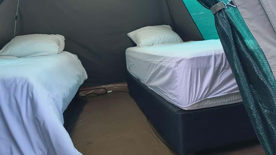 Pilanesberg: Two-Day Camping Adventure from Johannesburg - What the $329 price really covers