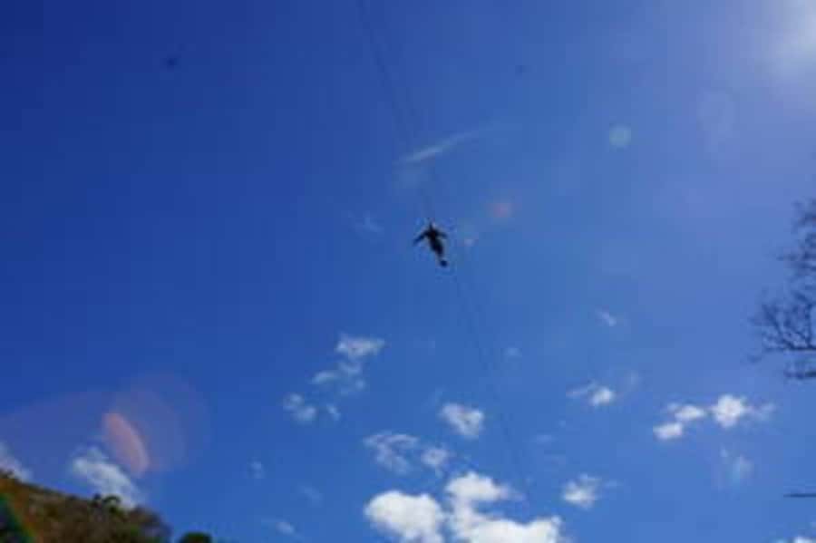 Plettenberg: 2-Hour Zipline Tour - Key points to know before you book
