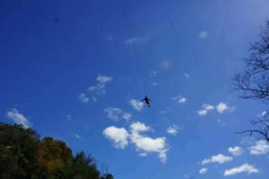 Plettenberg: 2-Hour Zipline Tour - Environmental care without losing the thrill