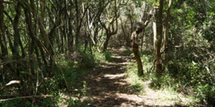 Plettenberg: 2-Hour Zipline Tour - Booking flexibility and useful planning details