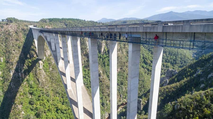PLETTENBERG BAY: Bloukrans Bridge Skywalk Tour and HangOut - Key points at a glance
