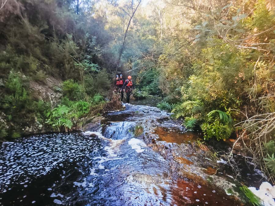 Plettenberg Bay: Canyoning Trip - Your first river jump and swim