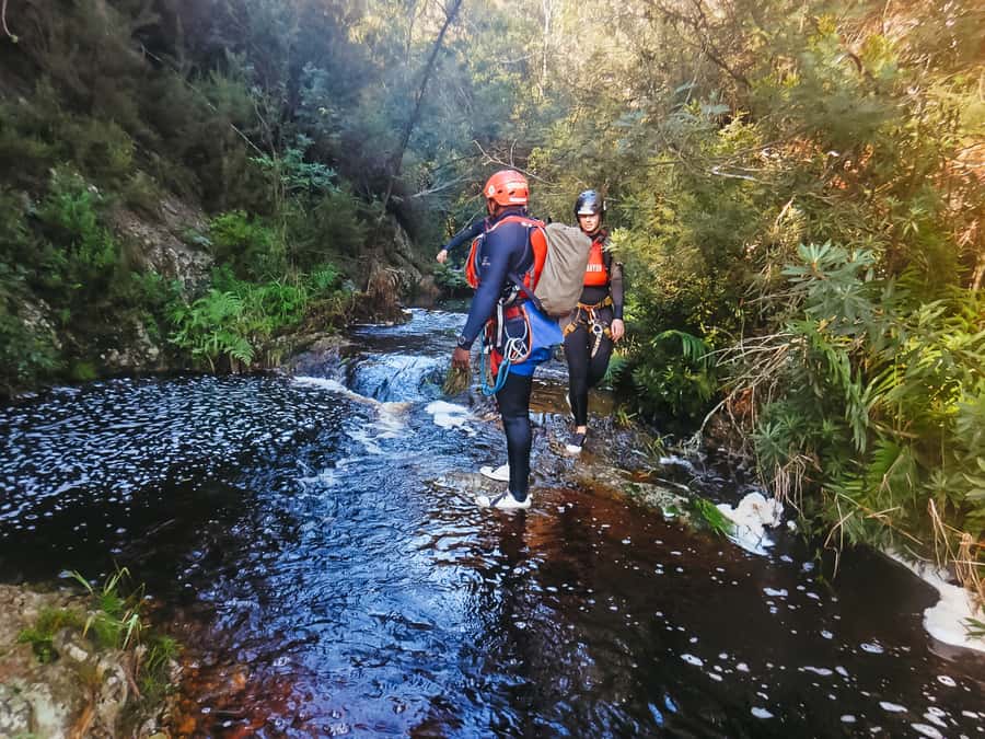 Plettenberg Bay: Canyoning Trip - Optional cliff jumps from 1 to 7 meters