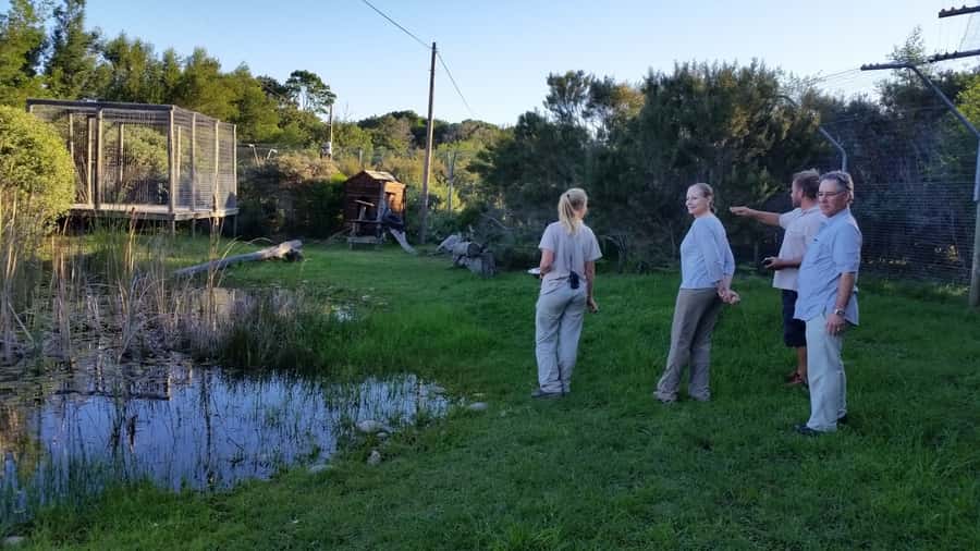 Plettenberg Bay: Cats in Conservation Full Day Tour - Key points to know before booking