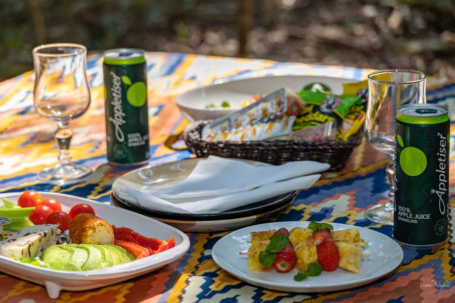 Plettenberg Bay: Cats in Conservation Full Day Tour - Lunch and time to talk with staff