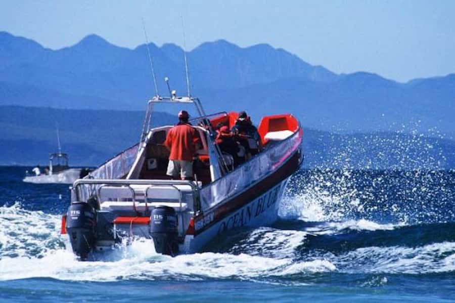 Plettenberg Bay: Dolphin and Marine Boat Tour - Leaving Plettenberg Bay through the surf