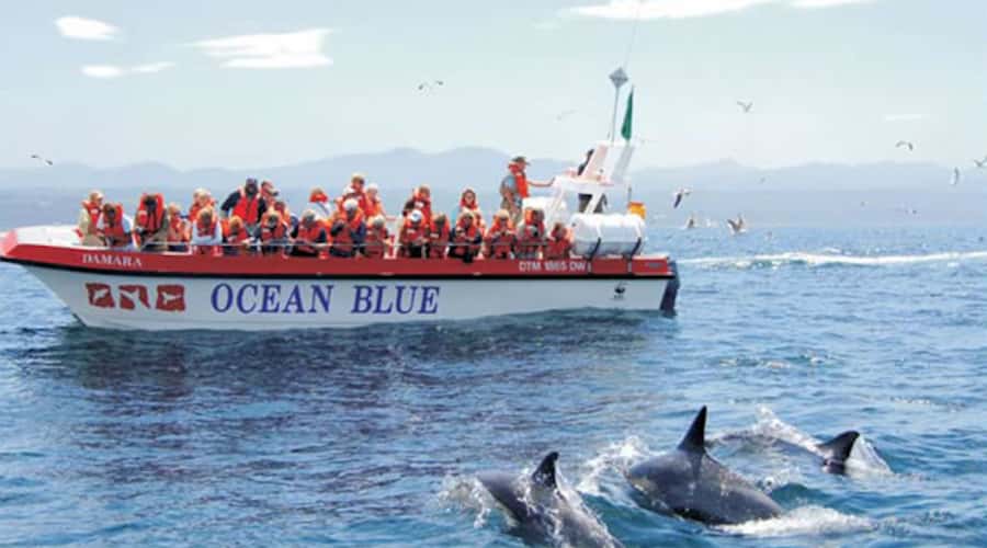 Plettenberg Bay: Dolphin and Marine Boat Tour - Along Keurbooms Beach toward Arch Rock